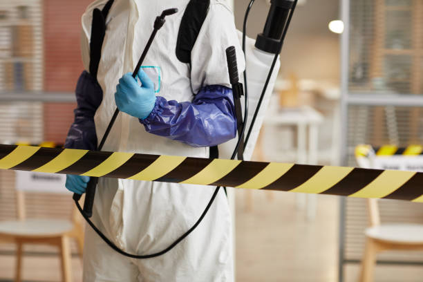 Professional Sewage Cleanup technician working in Ireton, IA